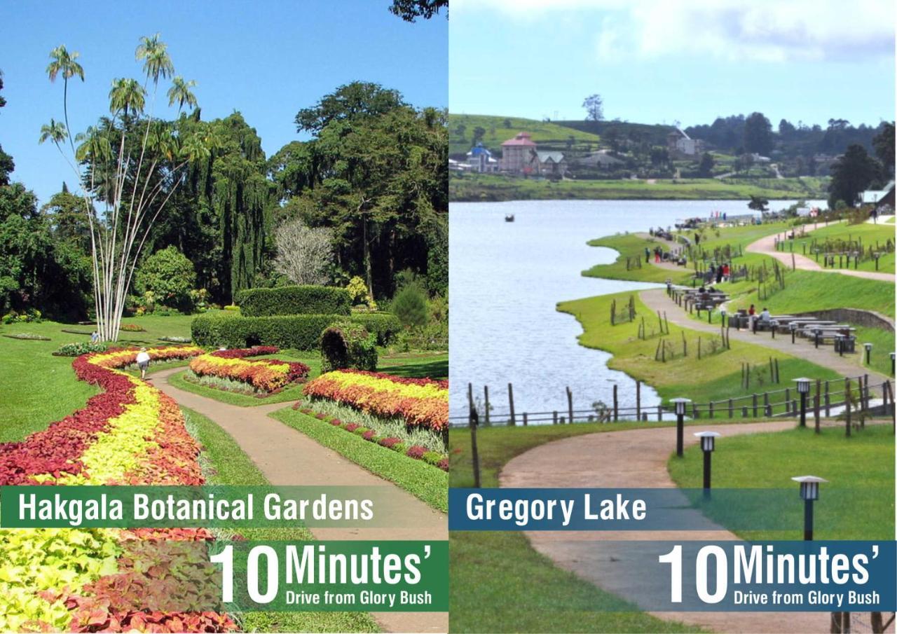 Glory Bush Boutique Villa Nuwara Eliya Dış mekan fotoğraf