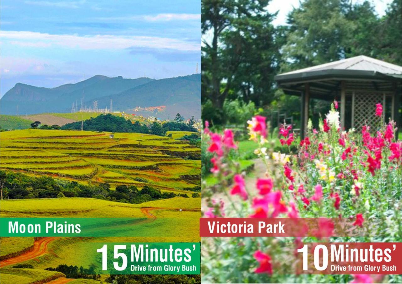 Glory Bush Boutique Villa Nuwara Eliya Dış mekan fotoğraf