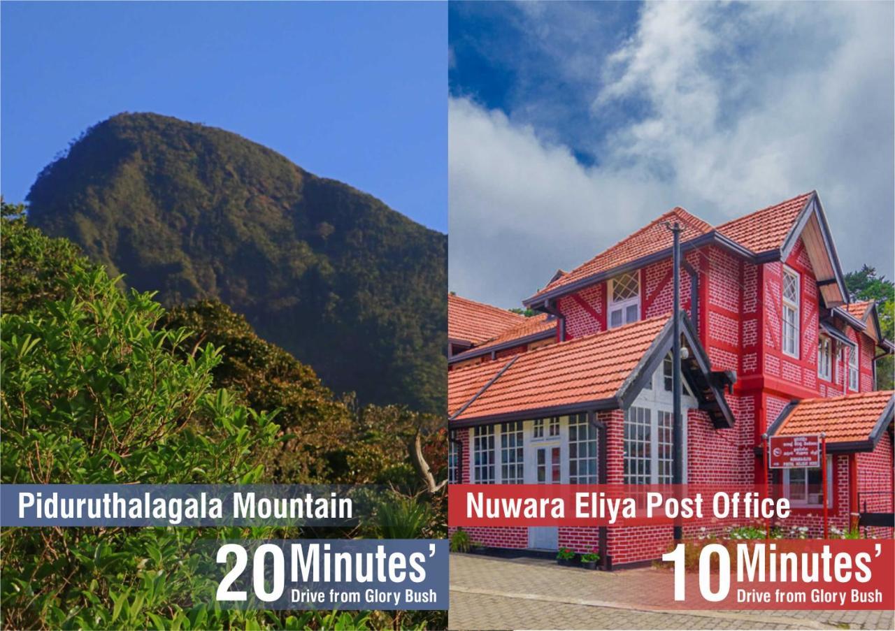 Glory Bush Boutique Villa Nuwara Eliya Dış mekan fotoğraf