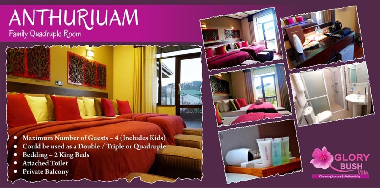 Glory Bush Boutique Villa Nuwara Eliya Dış mekan fotoğraf