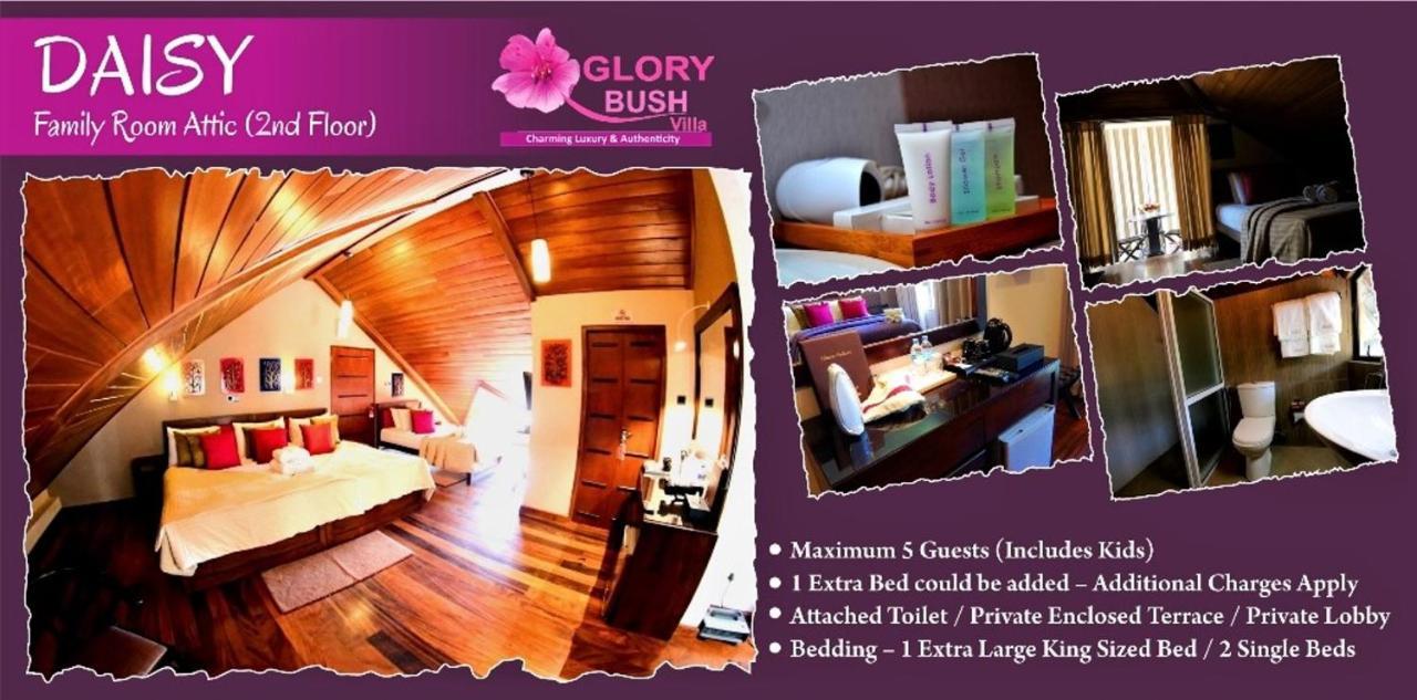 Glory Bush Boutique Villa Nuwara Eliya Dış mekan fotoğraf